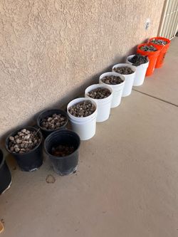 Free Garden Rovks