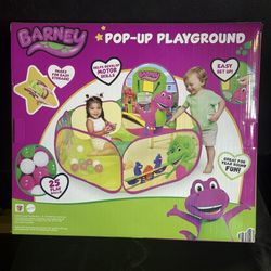 Barney Pop-Up Playground