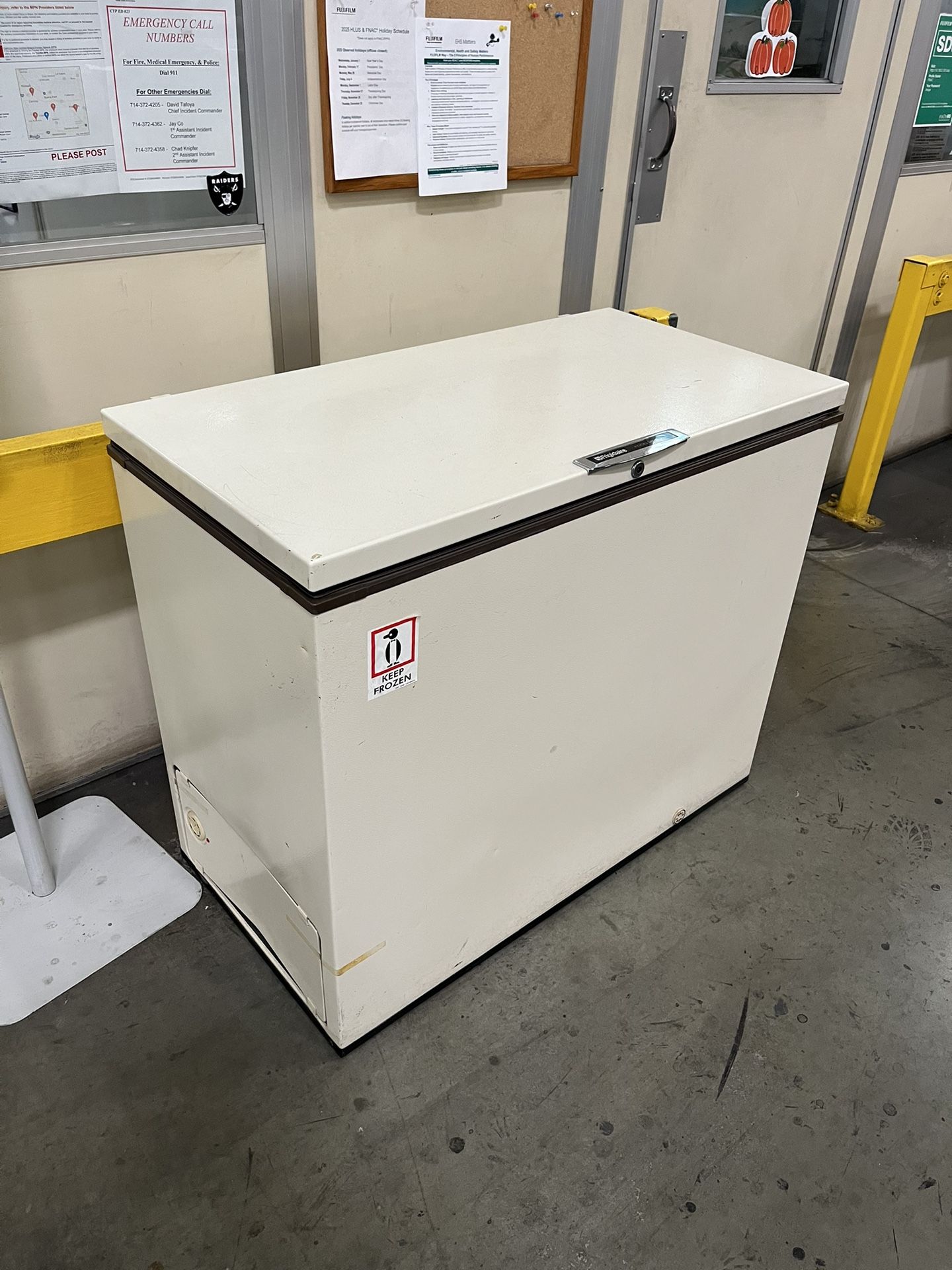 Frigidaire Freezer