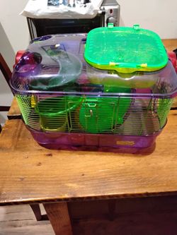 Hamster Cage