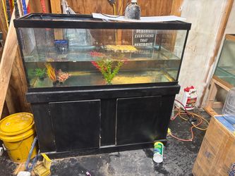 75 gallon tank