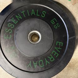 25 Lb x 2 (50lbs) Plates 
