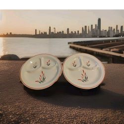 Vintage Sears Roebuck Cat Tail Divided Plates Set of 2 Oven Proof 9.5" 1(contact info removed)
