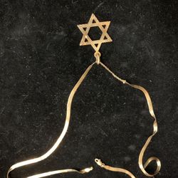 10 Kt Gold Star David Necklace