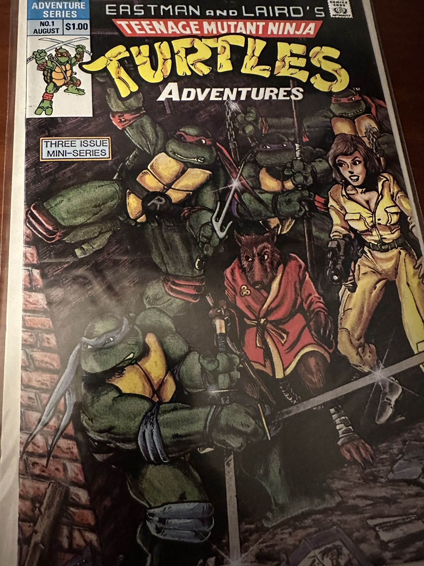 Teenage Mutant Ninja Turtles Adventures Comic #1 