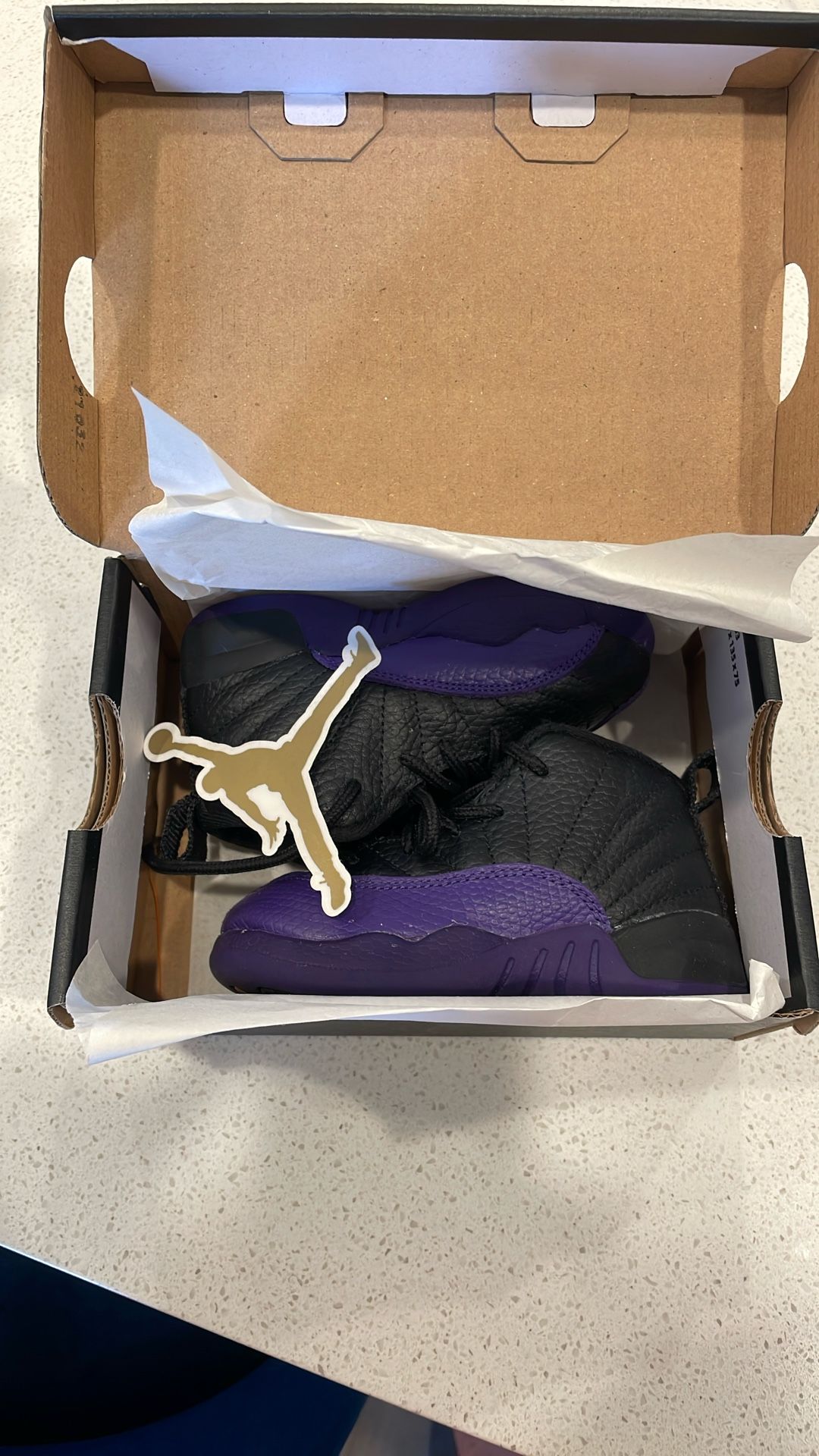 Jordan Retro 12