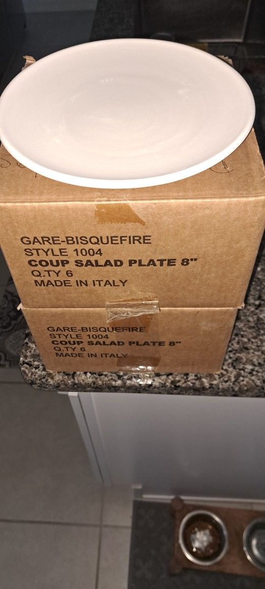 Porcelain 8" Bisque Plates