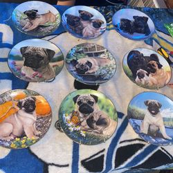Pug Plate Collection 9 Plates Mint Condition