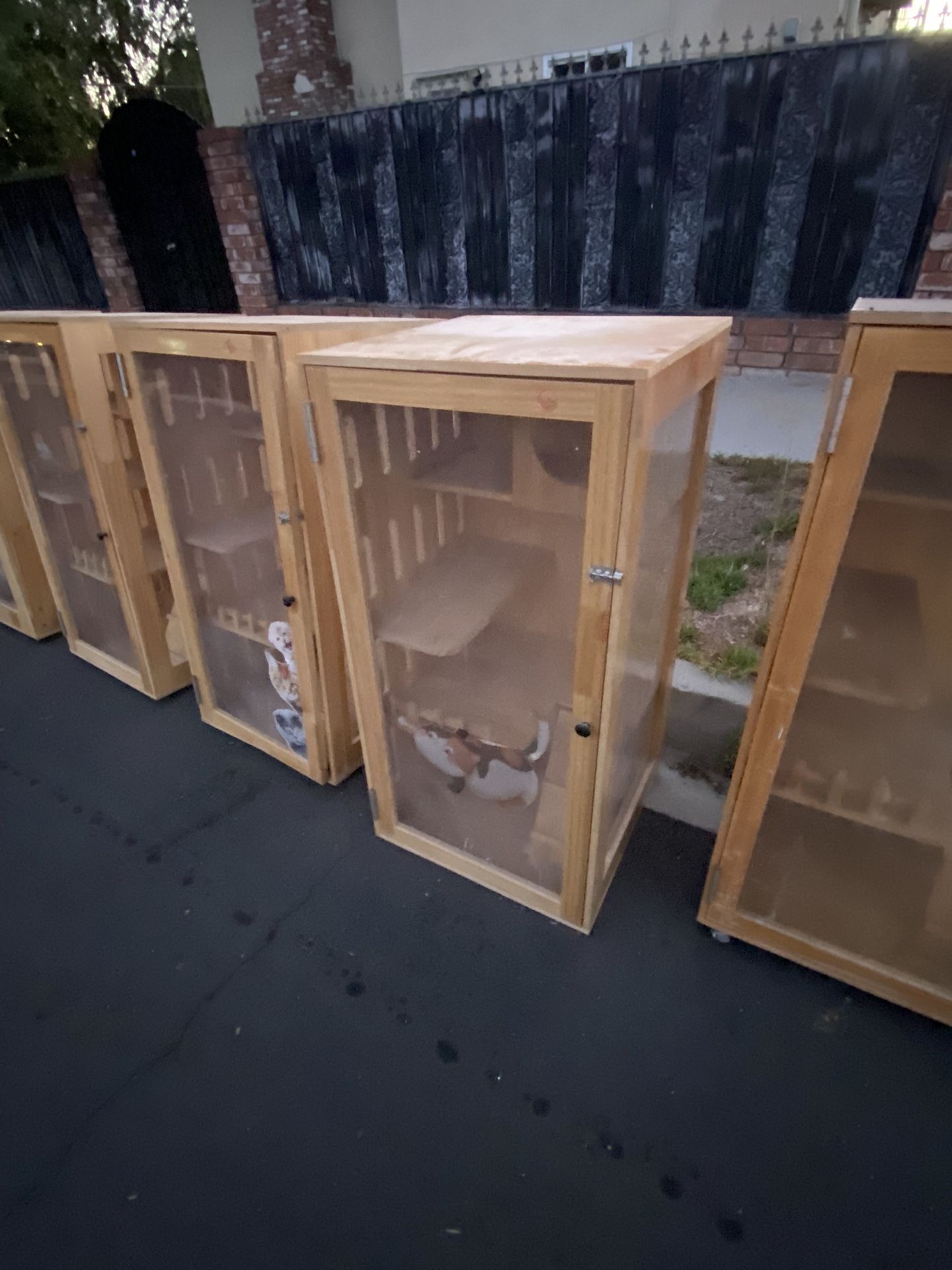 Cat House 