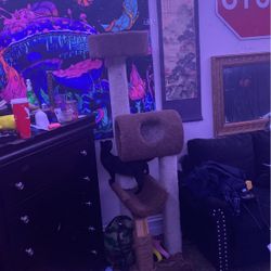 Cat Tower