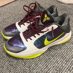 Nike Kobe 5 Protro  Chaos Men’s Size 12