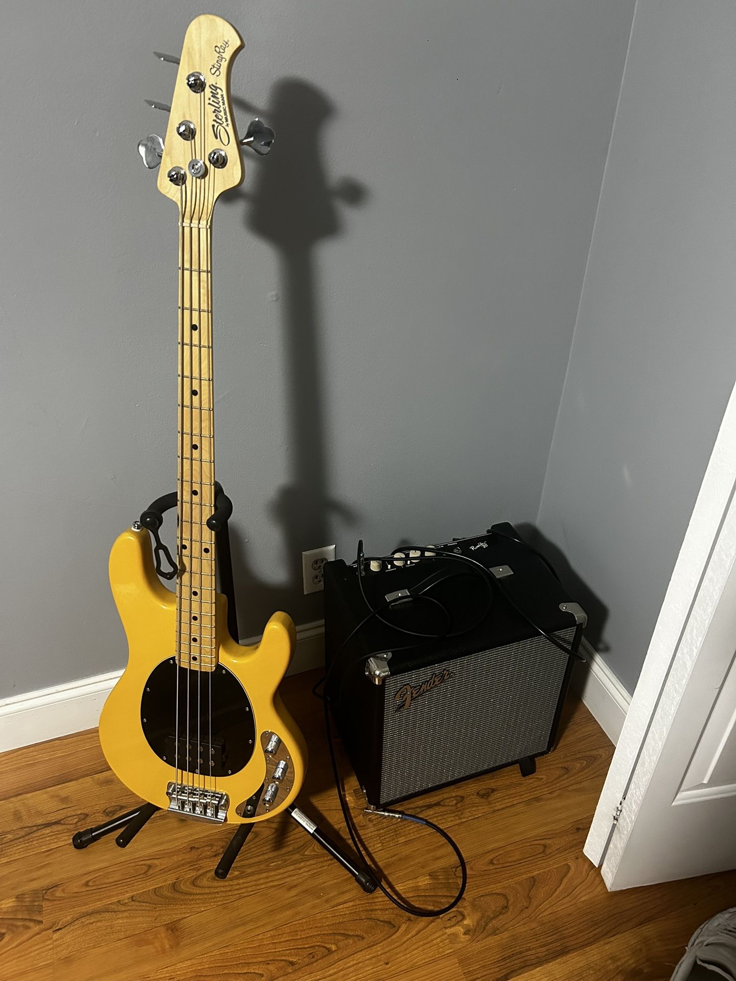 Bass Guitar