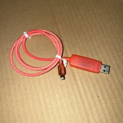 Apple Lightning Charger