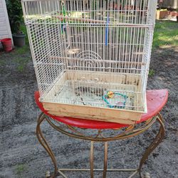 Bird Cage.