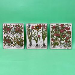 Vintage Botanical Prints