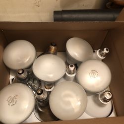 12 65 W Bulbs