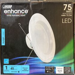LED Light Replacement