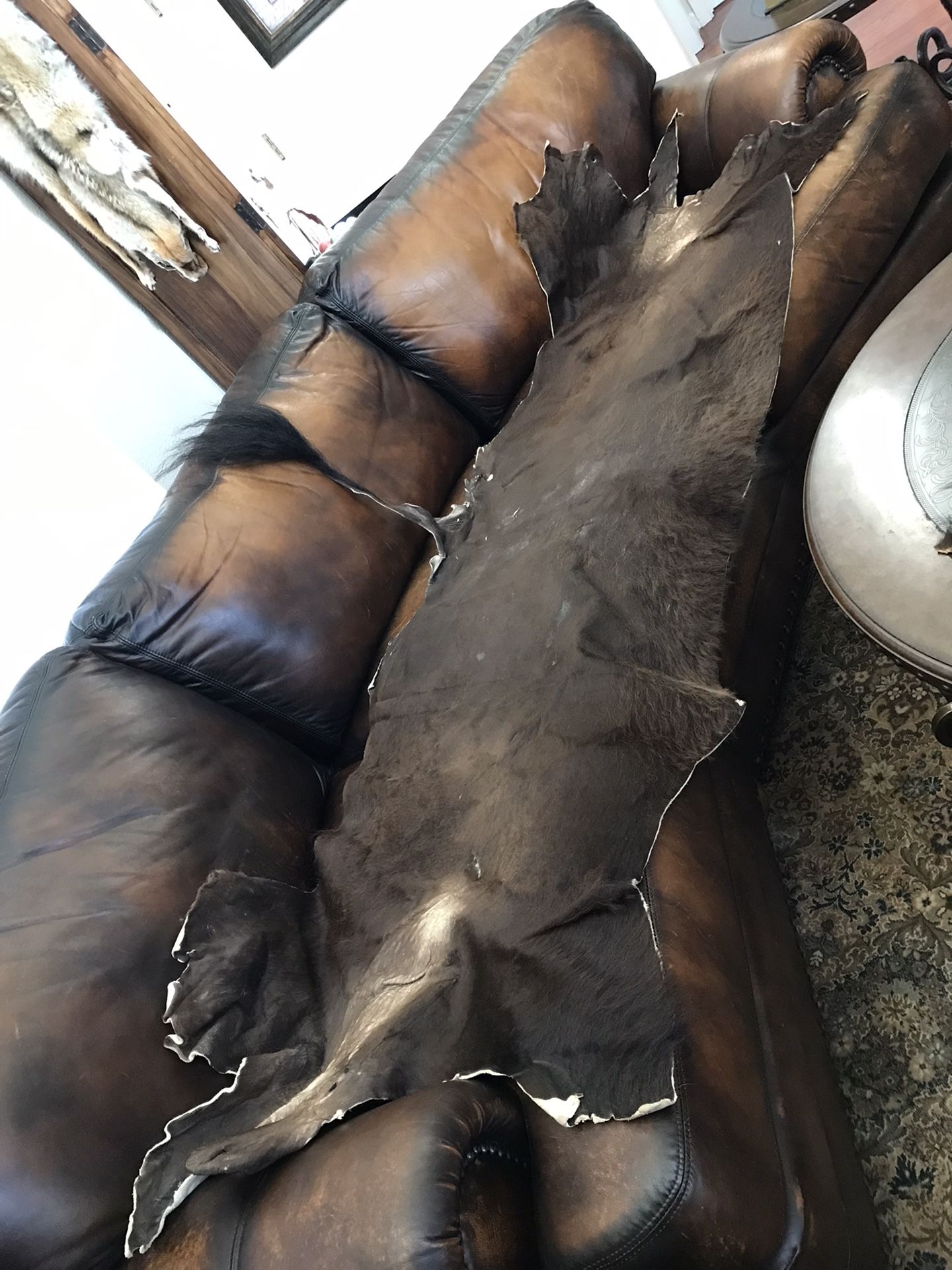 Buffalo Bison Decor Taxidermy Shoulder Mount Hide Rug