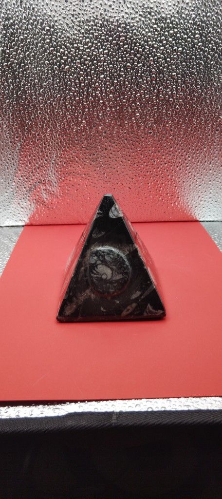 Pyramid Orthoceras With Ammonit Fossil