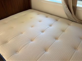 Organic Kiwi Mattress Queen Size
