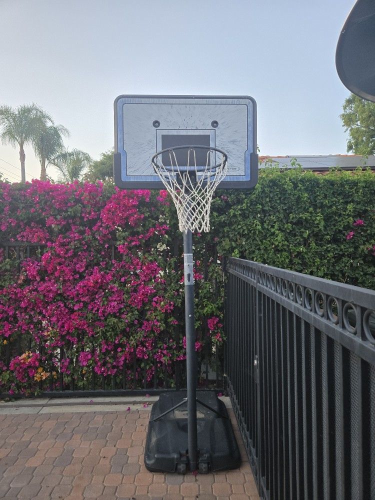 Lifetime Basketball Hoop