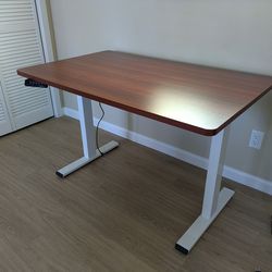 Like new motorized standing desk