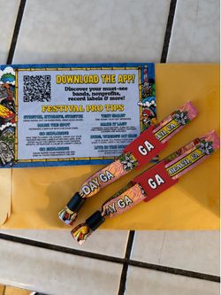 2 GA Warped Tour Long Beach Wristbands