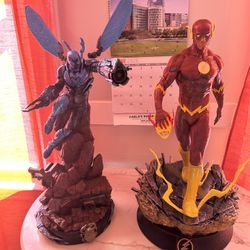 The flash 