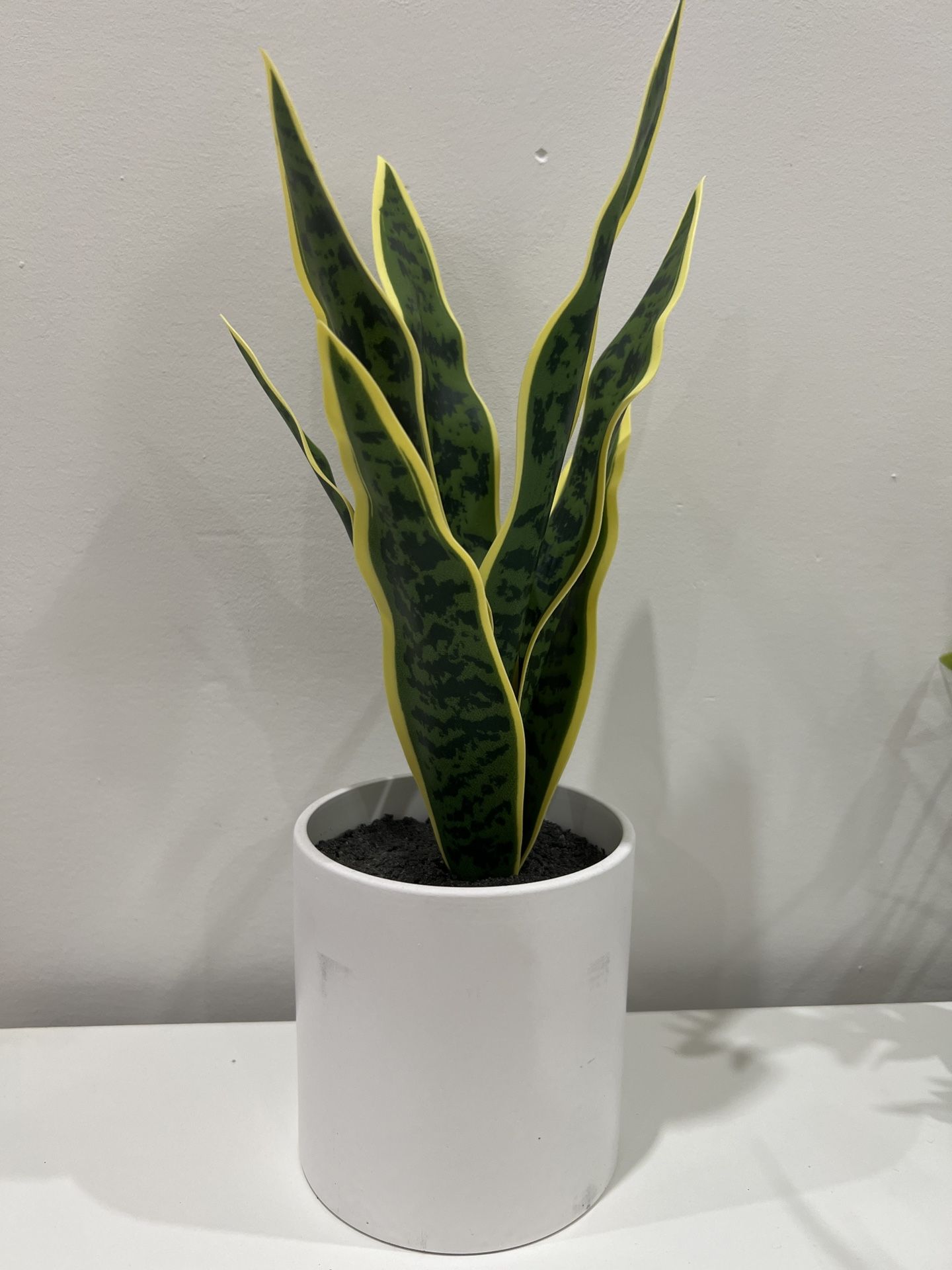 Artificial Plant