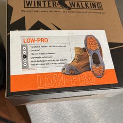 Winter Walking 