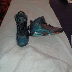 Jordan 6 Retro Chameleon
