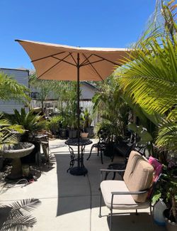 Free Umbrella Rectangular