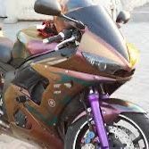 Custom Painted Ferrings & More