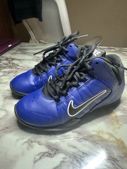 Nike Shoes AV Pro 4