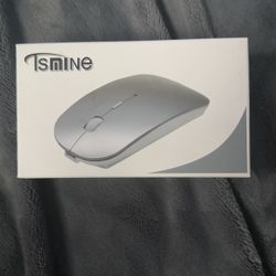 Wireless Mouse 