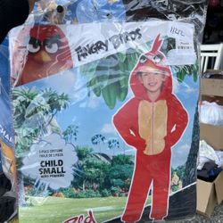 Angry Birds Costume 