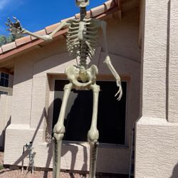 12 Foot Skeleton 
