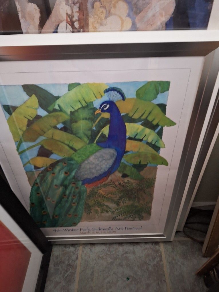 Winter Park Art Festival, 2005, Peacock Framed