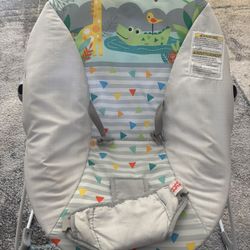 Baby Bouncer 