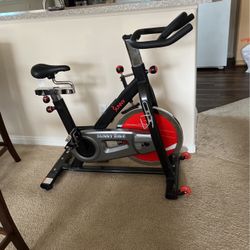 Sunny Indoor Workout Bike