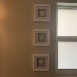 Set Of 3 Framed Shells - Bathroom, Beach, Framed Art - Weston 33326 - Read Description
