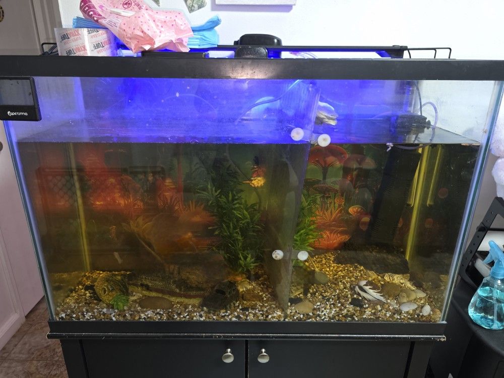45 Gallon Fish Tank with Stand