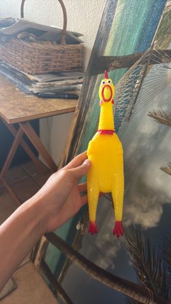 Rubber chicken
