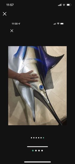 10 Foot Massive 400 Pound Blue Marlin For Sale Cheap