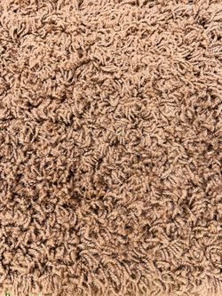 Wayfair 8x10 Living Room Carpet