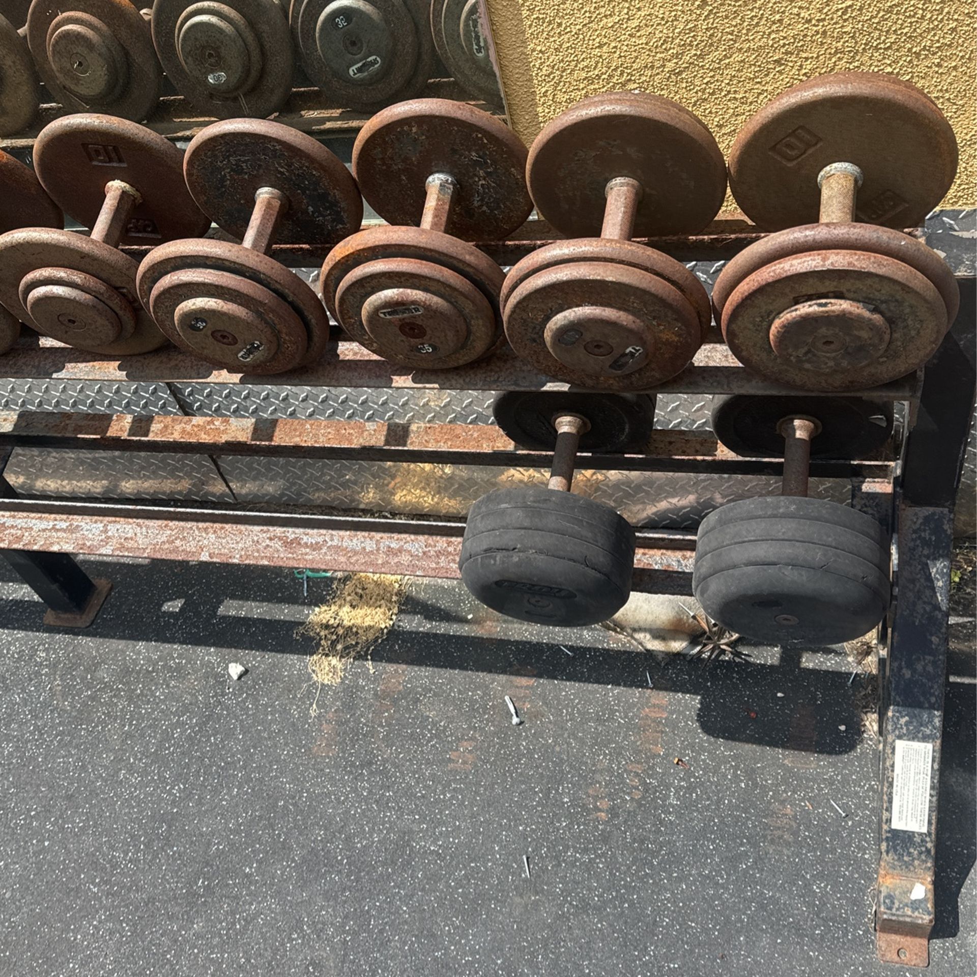 Gym Dumbbells 