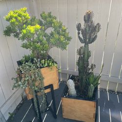 Planter Box