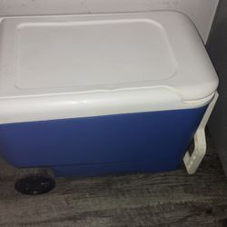 Rolling Ice Chest