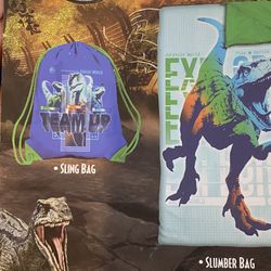 Dinosaur Sleeping Bag 