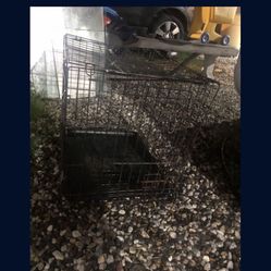 dog crate 